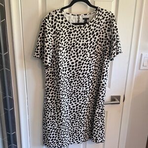 Ann Taylor Black and White Spotted Mini Dress